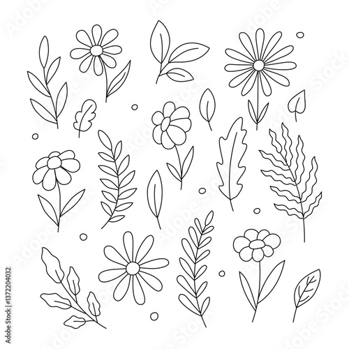 Doodle set of chamomile flower and leaves.