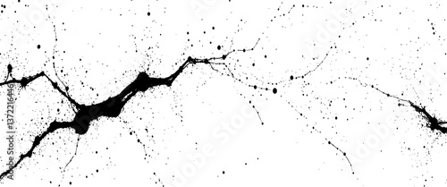 Obraz na płótnie Vector black and white background with grunge texture splatter design. w salonie