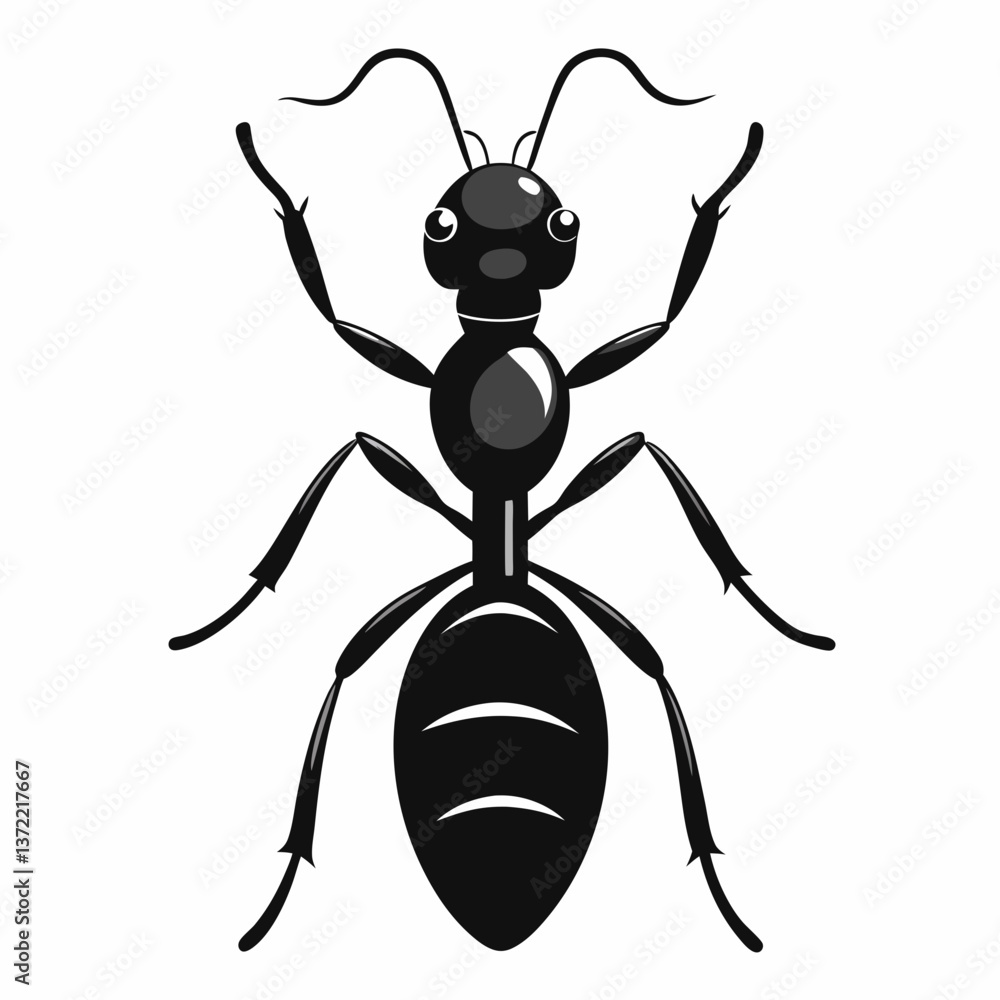 vector illustration of a spider vector illustration of a spider