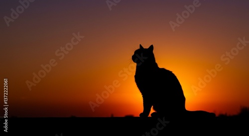 Majestic Cat Silhouette at Sunset Serene Golden Hour Feline Image