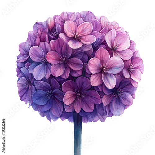 watercolor vector of Allium branch, isolated on a white background. Allium branch vector

