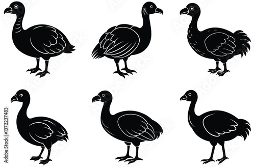 dodo vector silhouette