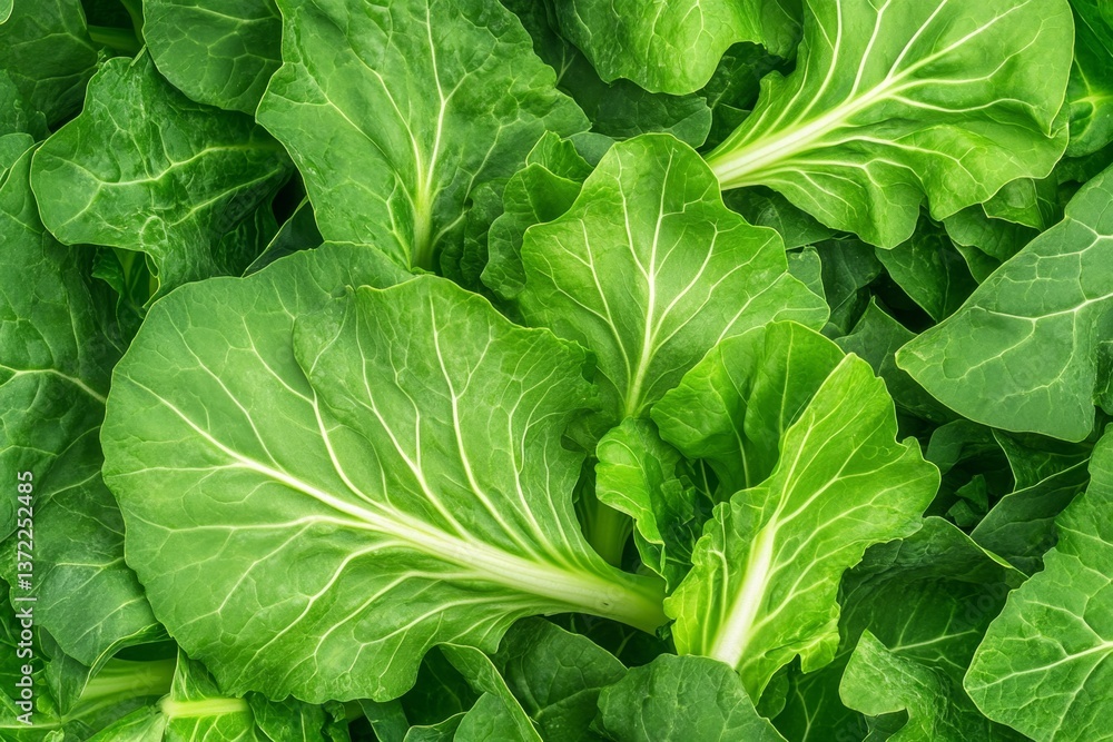 A close-up of fresh kale and spinach growing in vertical farm towers in an urban greenhouse A close-up of fresh kale and spinach growing in vertical farm towers in an urban greenhouse