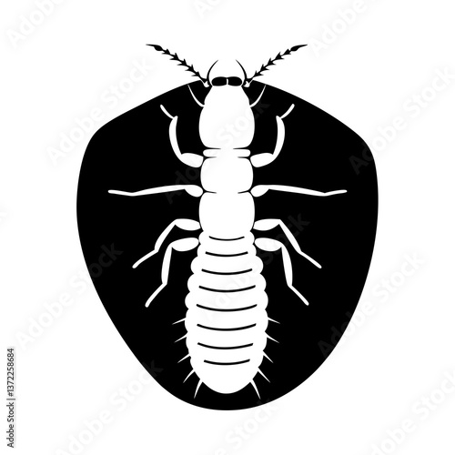 Termite insect with shield shape in black design