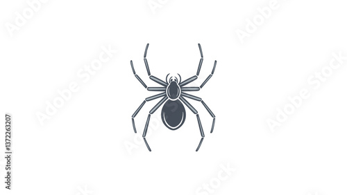 spider