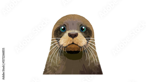 fur seal