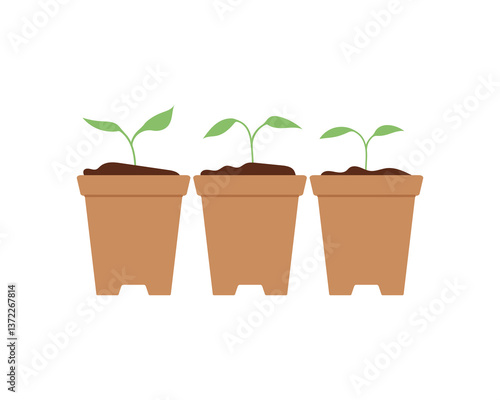 Young green seedlings in multiple pots. Vector illustration for gardening, farming, plant care, and eco friendly design projects