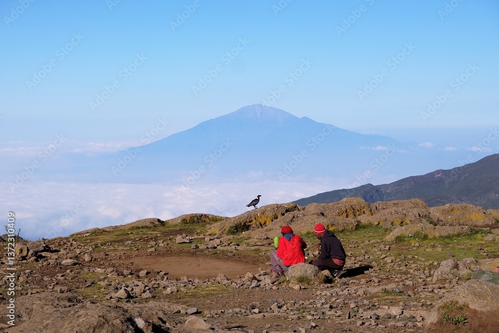 Two men sitting on viewpoint on Shira Camp with Mount Meru in background. Black raven Corvus albicollis (Large-billed raven) on rocks. Machame Route, Tanzania