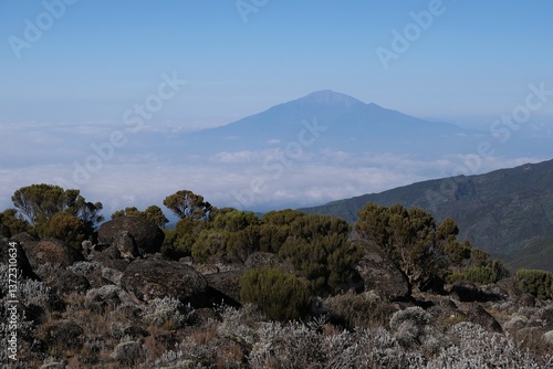 Obraz na płótnie Beautiful panorama with Mount Meru on horizon, Machame Route, trail from Shira Camp to Barranco Camp, Tanzania w salonie