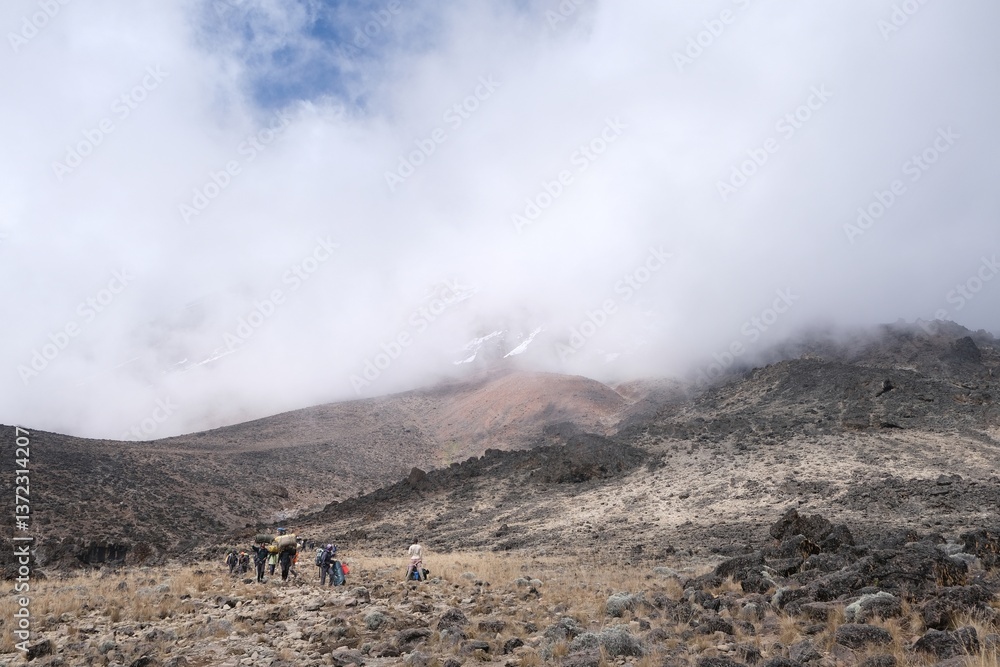 Kilimanjaro, Tanzania: Porters with luggages on Machame Route, trail from Shira Camp to Barranco Camp. Kilimanjaro, Tanzania.