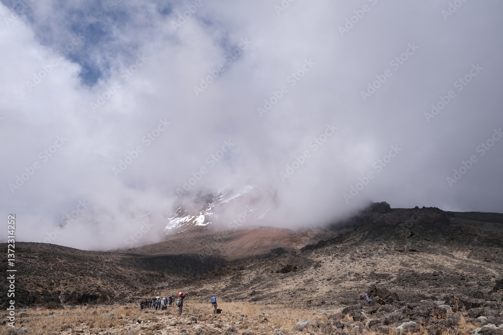 Kilimanjaro, Tanzania: Porters with luggages on Machame Route, trail from Shira Camp to Barranco Camp. Kilimanjaro, Tanzania.