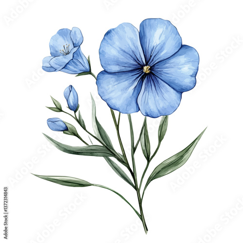 A watercolor vector of a Flax Flower, isolated on a white background. Flax Flower vector


