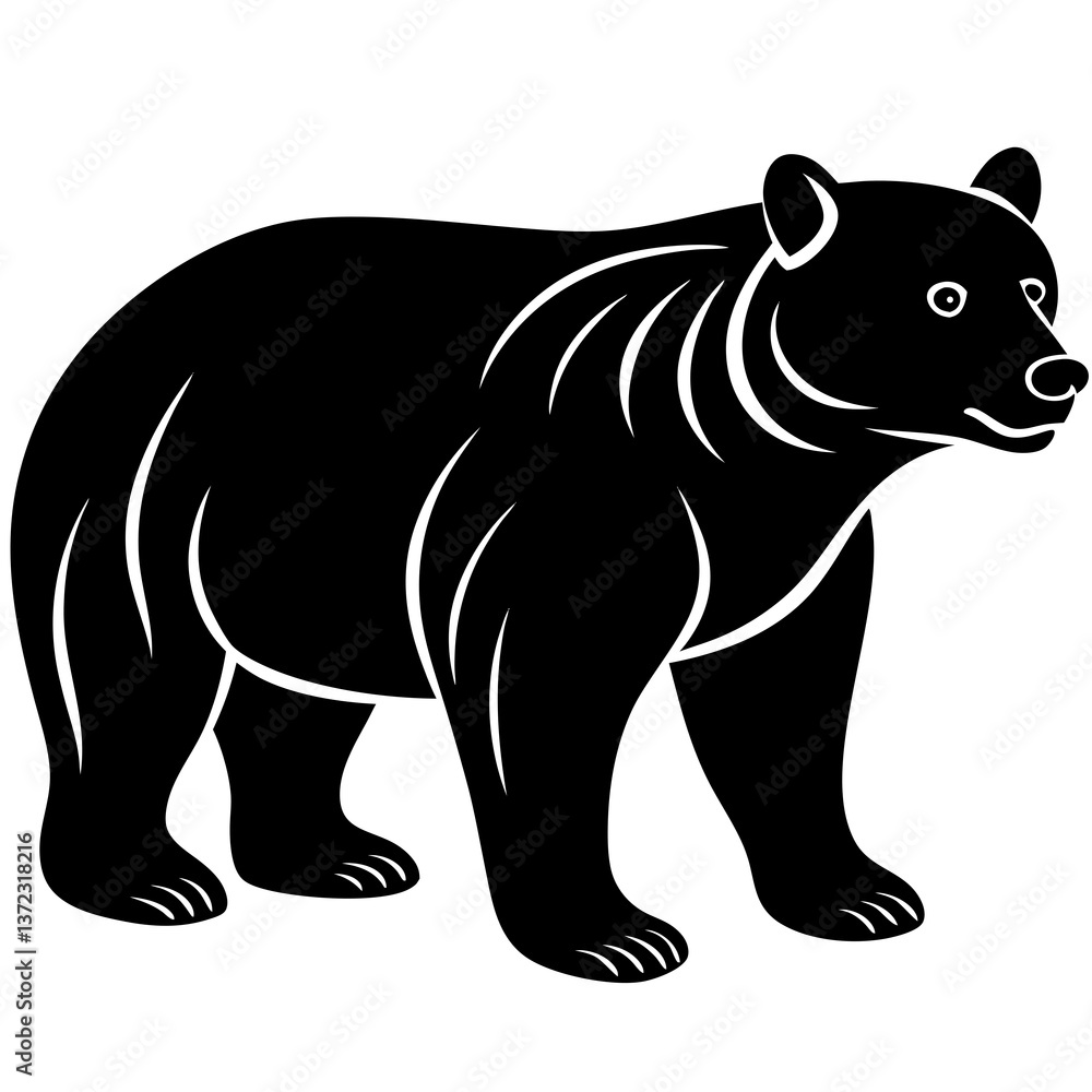 Bear vector illustration Bear vector illustration