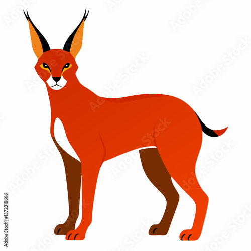 Caracal vector illustration 