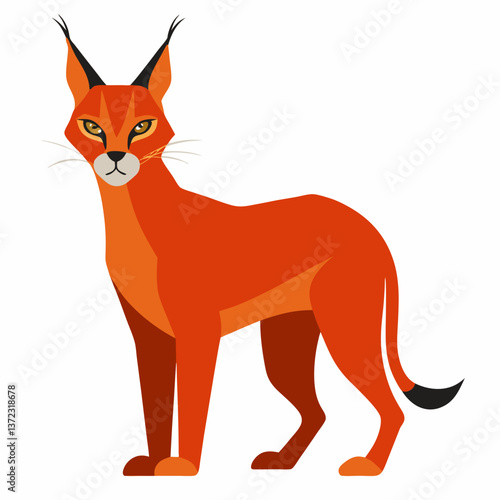 Caracal vector illustration 