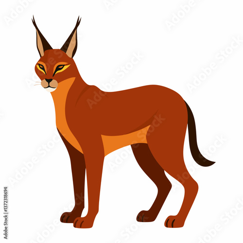 Caracal vector illustration 