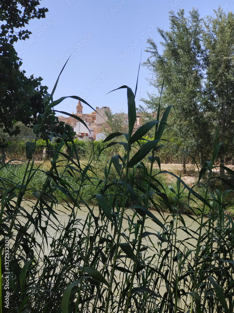 Village in nature