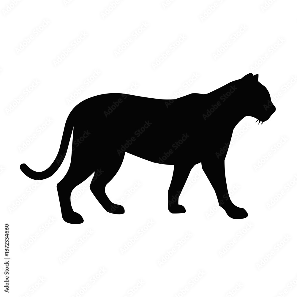 Fototapeta premium silhouette of a lion