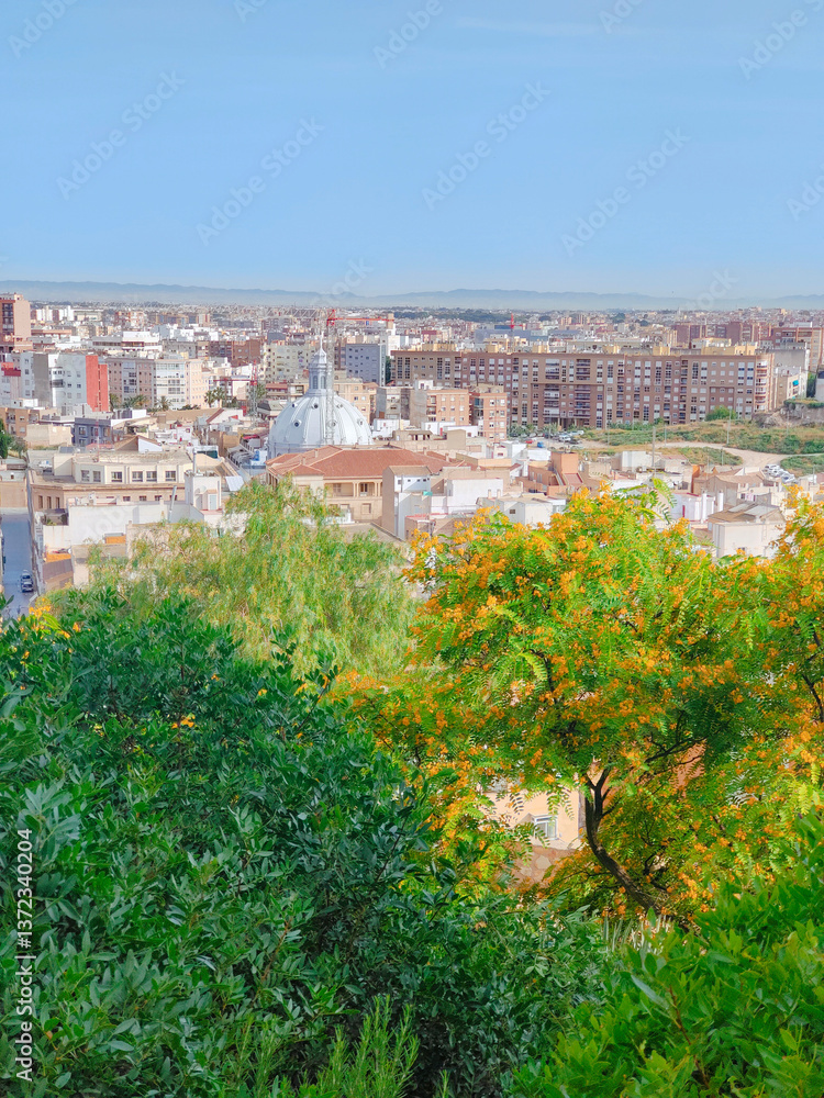 View of city