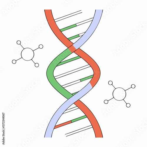 DNA Strand and Chemical Structures Vector Illustration