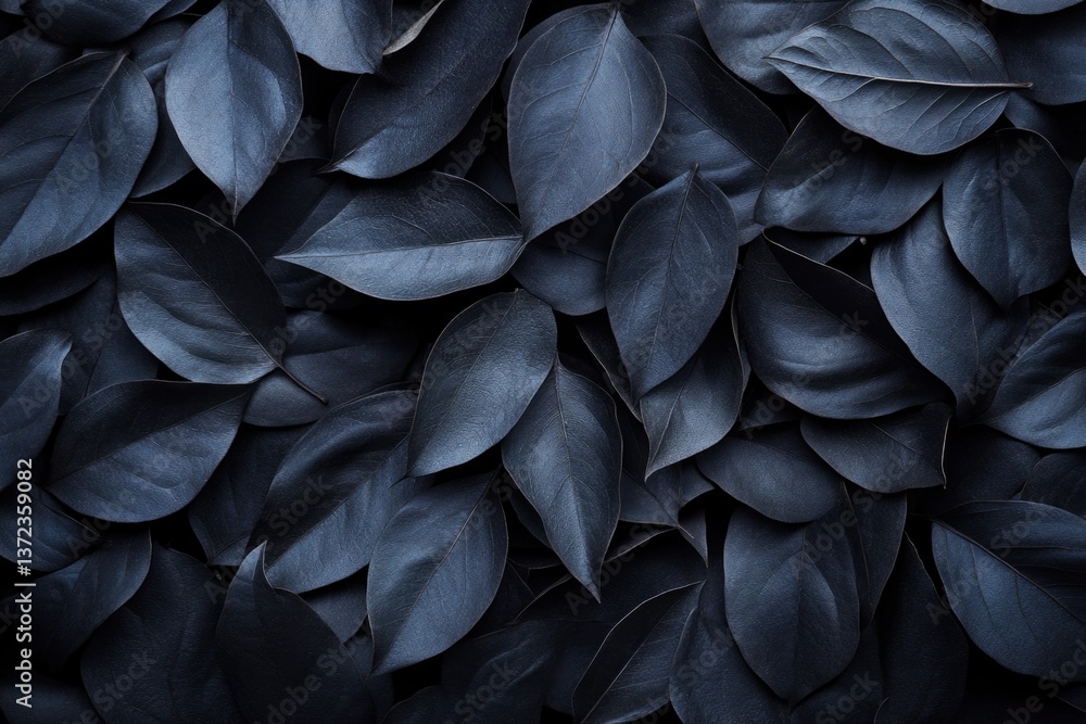 Dark leaves create an artistic pattern in a close-up shot of foliage on a black background Dark leaves create an artistic pattern in a close-up shot of foliage on a black background