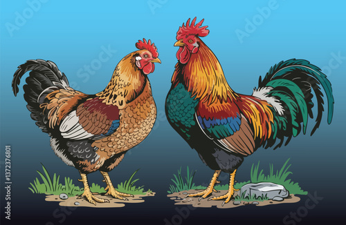 Rooster and Hen Picture. Vector Illustration or Icon