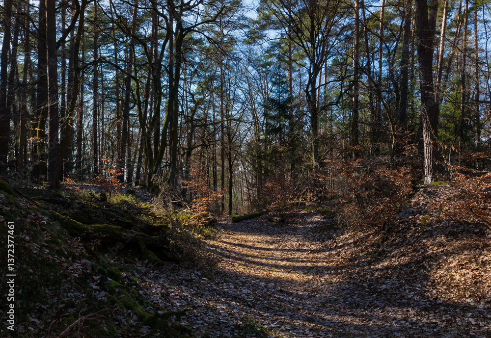 Wandern im Wald und Forst, alles ändert sich Wandern im Wald und Forst, alles ändert sich