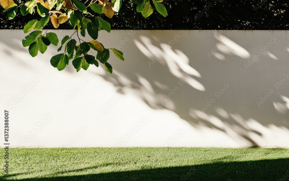 Obraz premium Sunlight and Leaf Shadows on Beige Wall and Green Grass