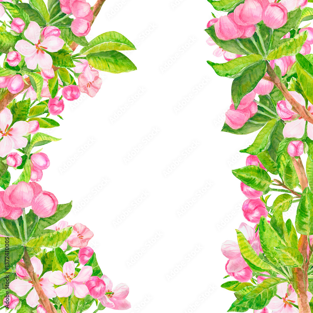 Fototapeta premium Square frame with watercolor wild apple flowers isolated on white background. Summer or spring banner template for poster or card. Hand-drawn art with copy space for wallpaper.