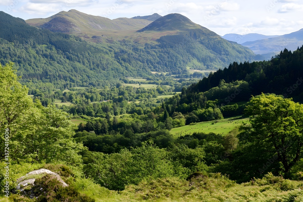 Obraz premium Lush green valley with forests and hills against a bright sky