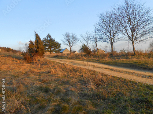 Fototapeta Naklejka Na Ścianę i Meble -  Polna droga do polskiej wsi o zachodzie słońca