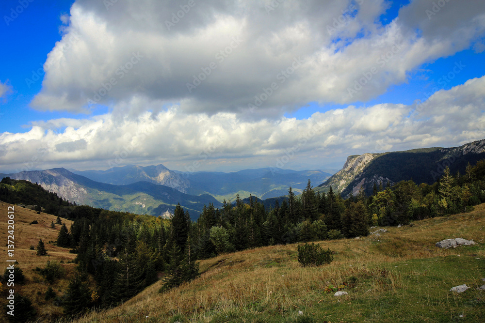 Scenic landscape of Sutjeska National Park, Bosnia and Herzegovina Scenic landscape of Sutjeska National Park, Bosnia and Herzegovina