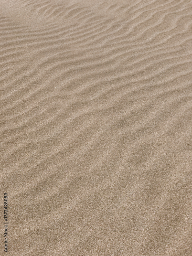 Textured Sand Patterns on Beach Textured Sand Patterns on Beach