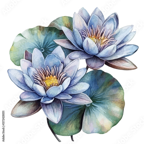 A watercolor of water lilies, isolated on a white background. Water Lilies vector.

