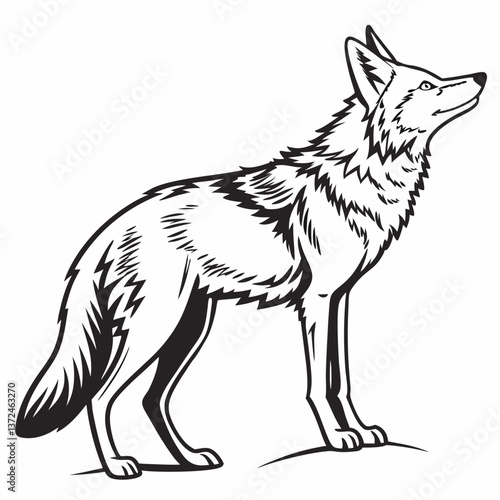 coyote sihouette black vecto