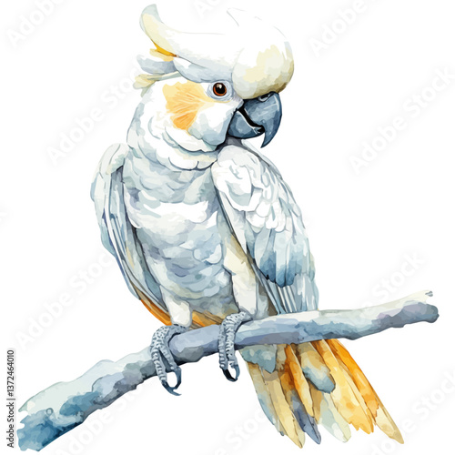 A watercolor of a cockatoo, isolated on a white background. Cockatoo vector.

