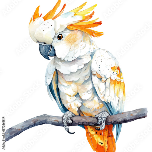 A watercolor of a cockatoo, isolated on a white background. Cockatoo vector.

