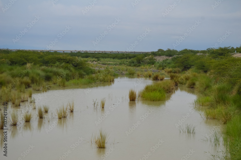 reflection of trees in the water landscape, river nature clouds background reflection of trees in the water landscape, river nature clouds background
