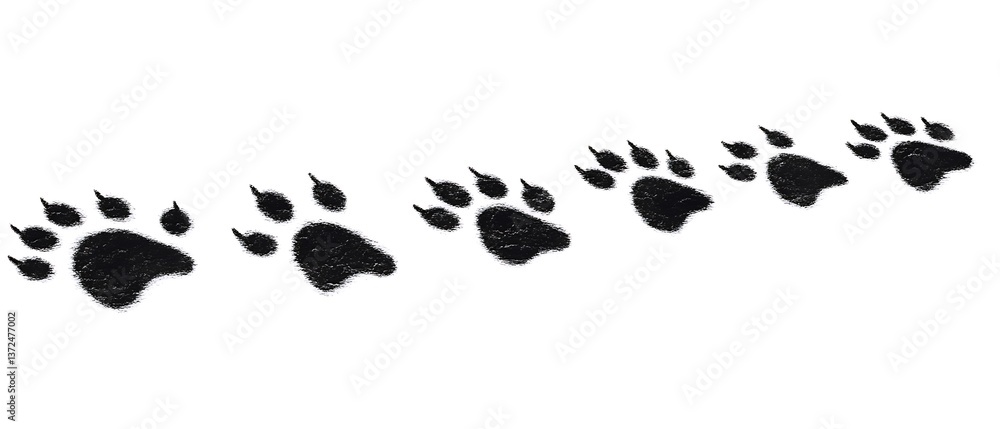 Bear Paw Prints Trail Bear Paw Prints Trail
