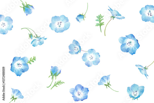 Foto 春の花：小さなネモフィラの花の水彩イラスト。背景模様。