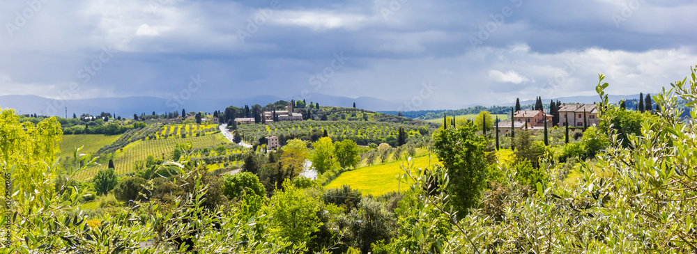 Panorama of a typical Tuscan landscape near San Gimignano, Italy