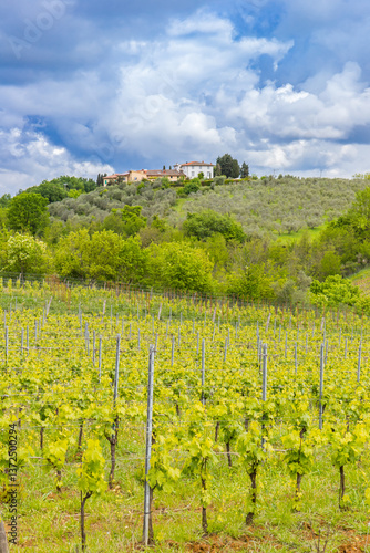 Obraz na płótnie Vines and a house on the hilltop near San Gimignano, Italy w salonie