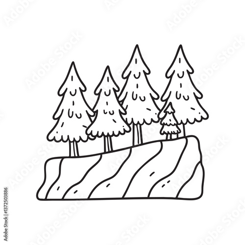 pine tree growing on the edge of a cliff