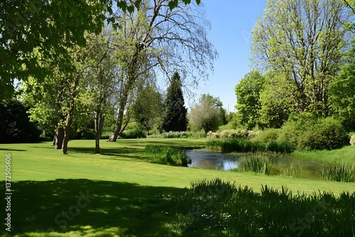 Wallpaper Mural Serene landscape Green grass, trees, pond under a clear blue sky Torontodigital.ca