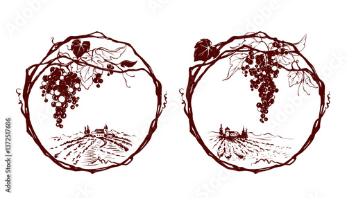 Grapevine - vector illustration. Design elements with a twisting vine with leaves and berries. Freehand drawing, frame with vine.	