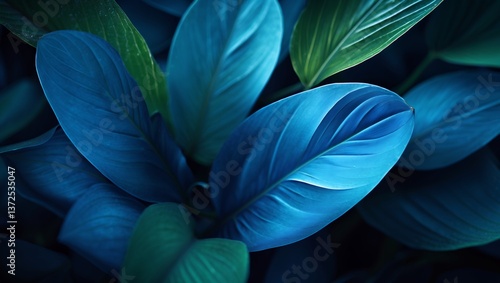Wallpaper Mural Close-Up of Blue and Green Tropical Leaves with Soft Lighting Torontodigital.ca
