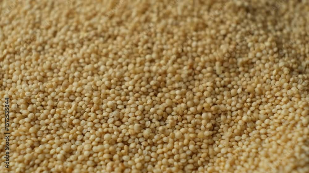 Organic Uncooked Amaranth Pour Slow Motion. Organic Uncooked Amaranth Pour Slow Motion.