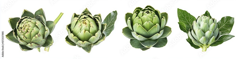 Fototapeta premium Fresh Artichokes