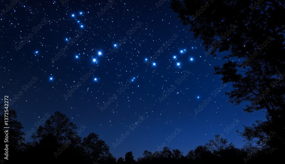 Naklejka premium Starry night sky over trees (1)