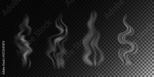 Abstract white smoke, steam, isolated on a transparent background, realistic vector illustration 2. Set of isolated objects 32.